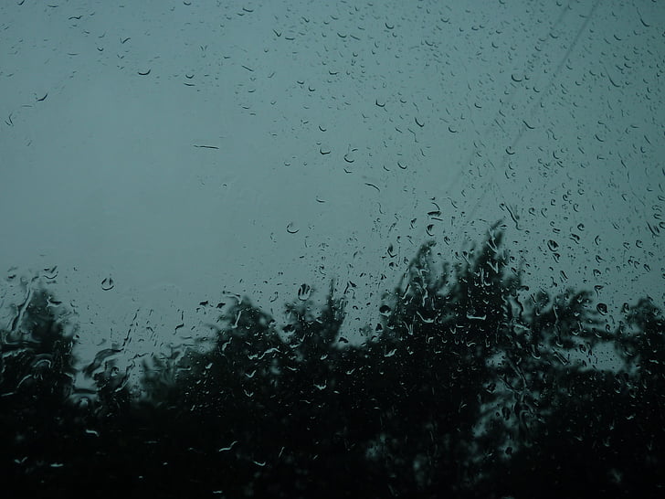 regn, moln, delvis molnigt, träd, mörka