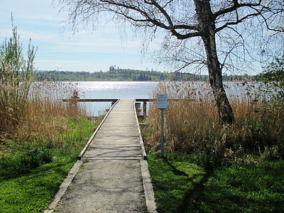 湖, 钓鱼码头, 放松, 水, pfäffikersee, pfäffikon, 苏黎世