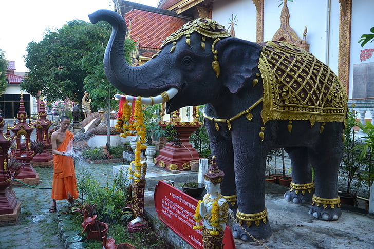 elefante, monge, Tailândia, Templo de, rega, jardim, Chiang mai