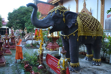 éléphant, moine, Thaïlande, Temple, l’arrosage, jardin, Chiang mai