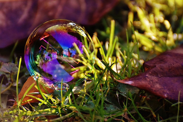 soap bubble, colorful, meadow, grass, balls, soapy water, make soap bubbles