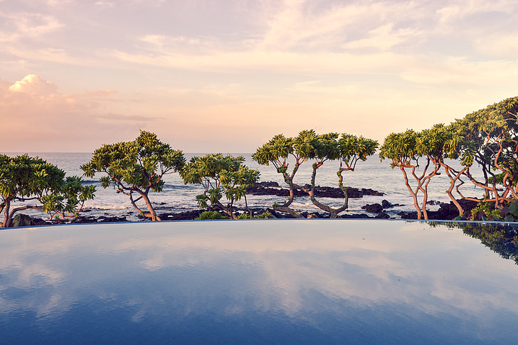 trees, swimming pool, ocean, pool, blue, luxury, resort