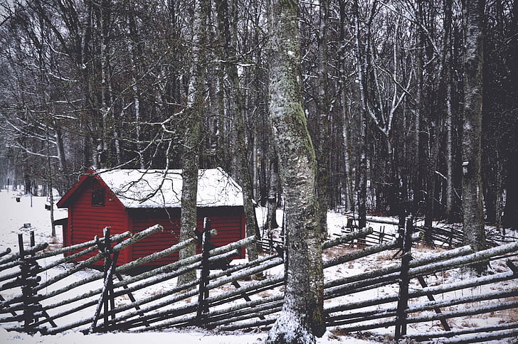 hus, träd, snö, vinter, staket, trunk, braches