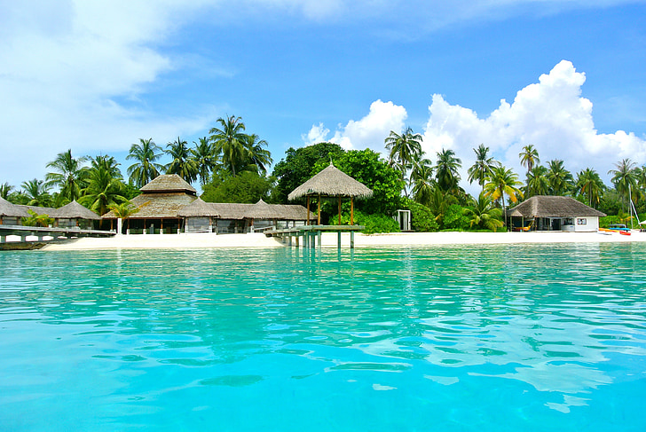 Малдиви, кокосово дърво, море, курорт, лято, празник, небе