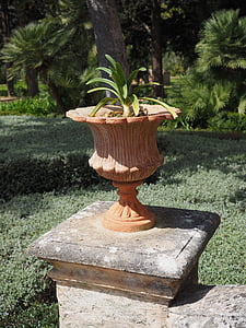 vas, pot bunga, dekorasi tua, antik, balkon, tanaman