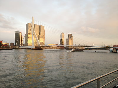 Skyline, Rotterdam, Miasto, programu Erasmus, Holandia, Architektura, Holandia