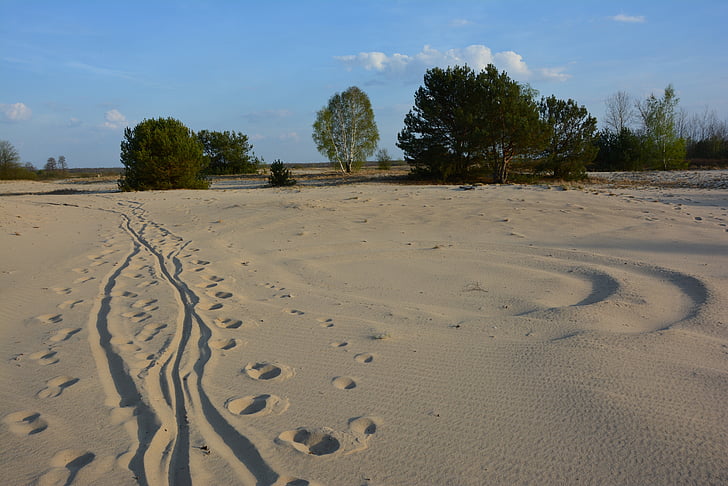 Sand, Art und Weise, Düne, Spuren