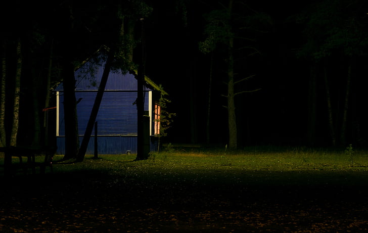 blue, house, night, time, hut, cottage, green