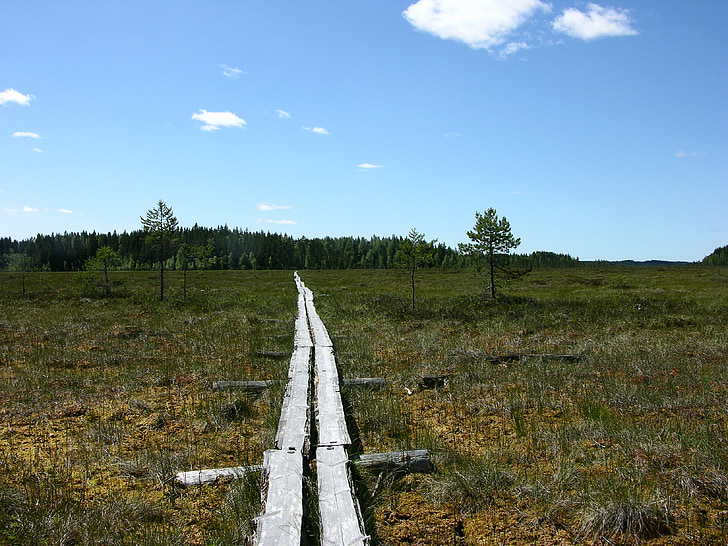 the path, swamp, duckboards, finnish, nature, terrain