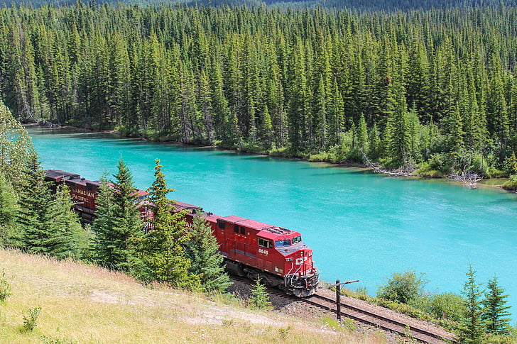 treno, motore, fiume Bow, Banff, Alberta, Canada, foresta