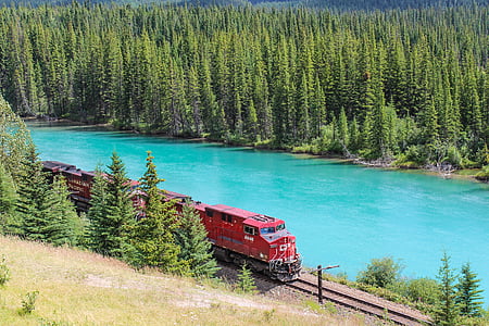 train, engine, bow river, banff, alberta, canada, forest