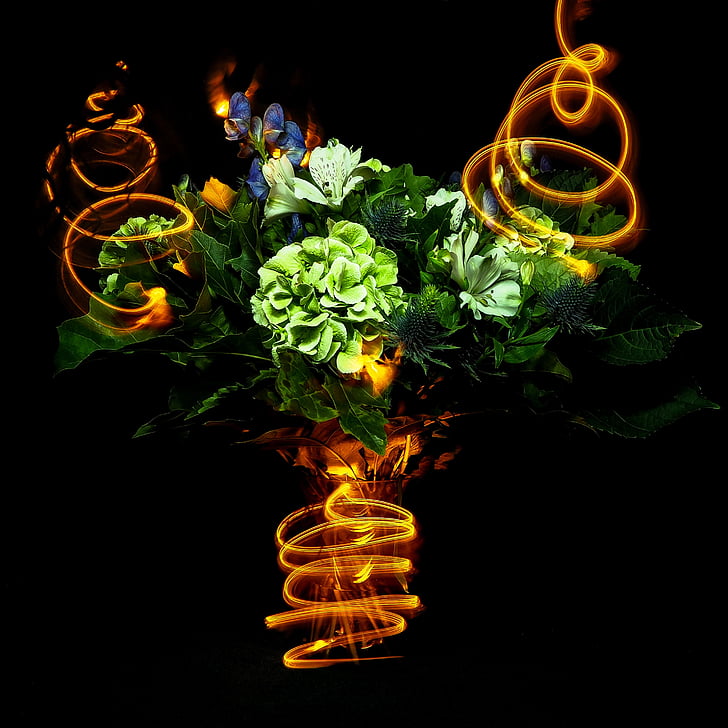 lightpainting, flowers, party, bouquet, abstract, decoration