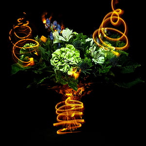 lightpainting, fleurs, Parti, bouquet, Résumé, décoration