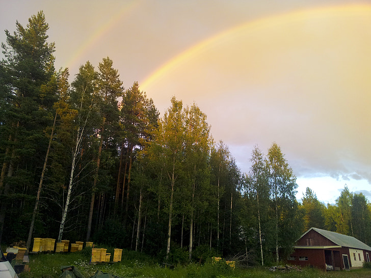 rainbow, north, country, sweden