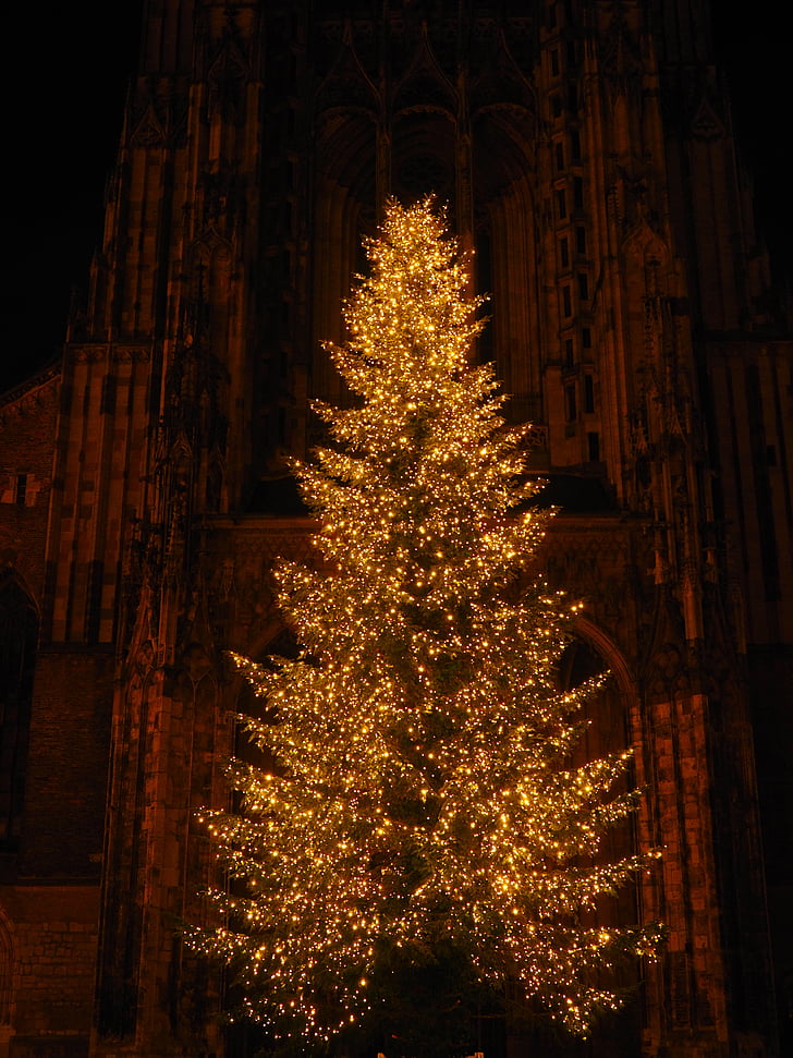 Kerst, Münster, Ulm kathedraal, kerk, Steeple, verlichting, lampen