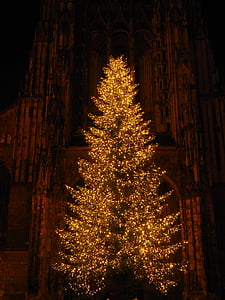 christmas, münster, ulm cathedral, church, steeple, lighting, lamps