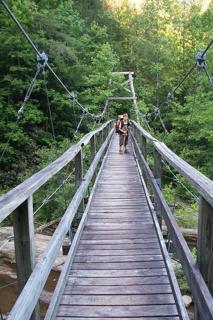 Pont, escalada, aventura, natura, alta, l'estiu, bosc