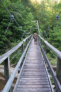 bridge, climbing, adventure, nature, high, summer, forest