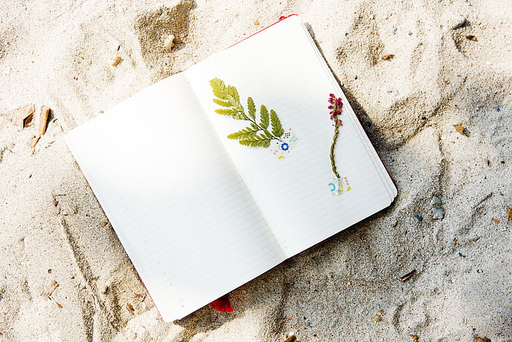 beach, coast, craft, diary, flower, hobby, holidays