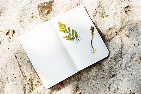 stranden, kysten, Craft, dagbok, blomst, hobby, helligdager
