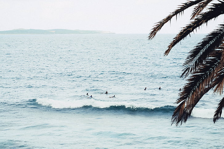ljudi, plaža, preko dana, surfanje, oceana, surf plaže, more