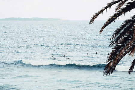 inimesed, Beach, päevasel ajal, surfamine, ookeanide, Surf beach, Sea
