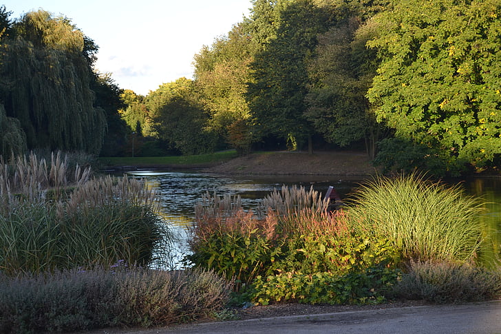 Borbeck, kasteelpark, Noord Rijnland Westfalen, natuur, plant, landschap, weergave