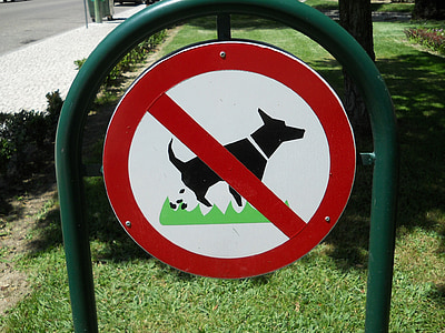 psi, chování zvířat