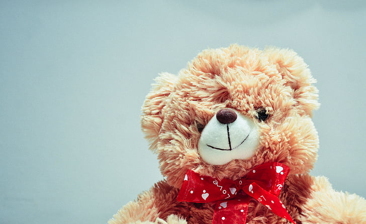fotografi, coklat, Teddy, beruang, boneka beruang, boneka binatang, mainan