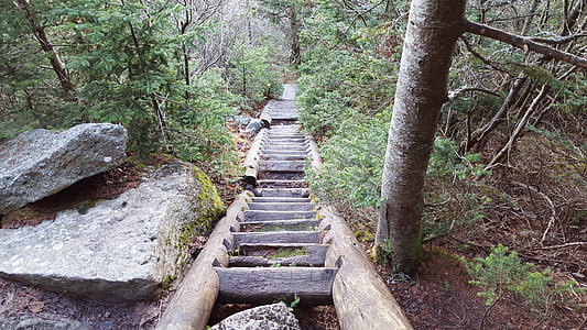 hiking, outdoors, stairs, mountain, staircase, nature, footpath