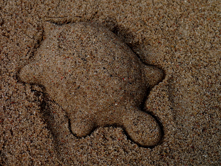 turtle, sand mold, sand, animal, play, beach, sea