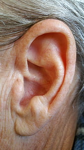ucho, telo, ľudské, vedúci, ľudské telo, nepočujúcich, koža