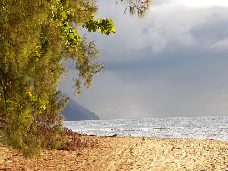 Havaj, Kauai, Já?, oceán, Příroda, voda, pláž