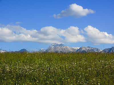 Meadow, dãy núi, cảnh quan, Thiên nhiên, cỏ, màu xanh lá cây, bầu trời