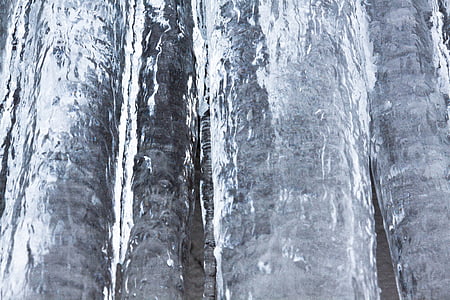 ice, icicle, cold, winter, white, frost, snow