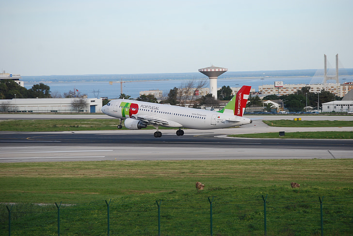 Take-off, Letiště, Portugalsko, přistávací dráha, vstupní pole, letadlo, letadla