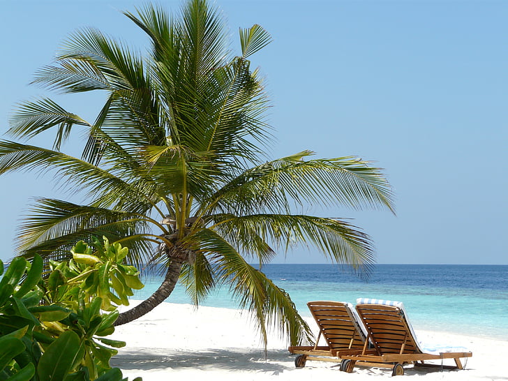 Holiday, Island, Palm, kesällä, rentoutumista, yhteishenki, matkustaa
