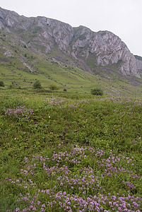 Transsylvanië, Roemenië, Landmark, landschap, berg, natuur, székelykő
