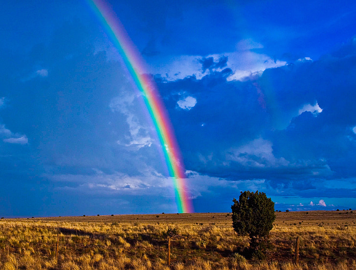 arco iris, Southwest, desierto