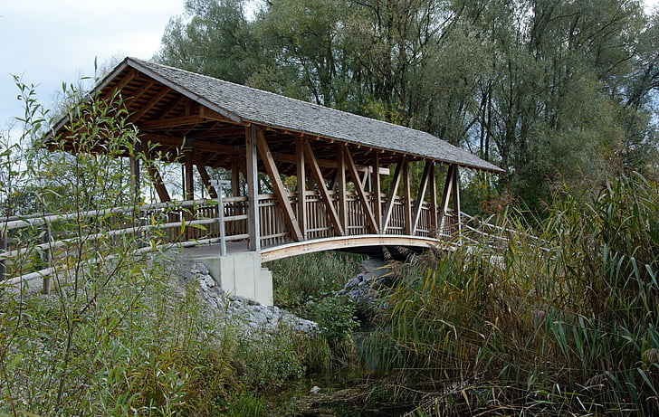 bridge, wood, wooden bridge, nature, transition, web, boardwalk