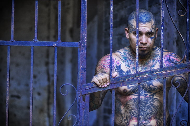 gaiola, portão, prisão, homem, pessoa, segurança, tatuagens