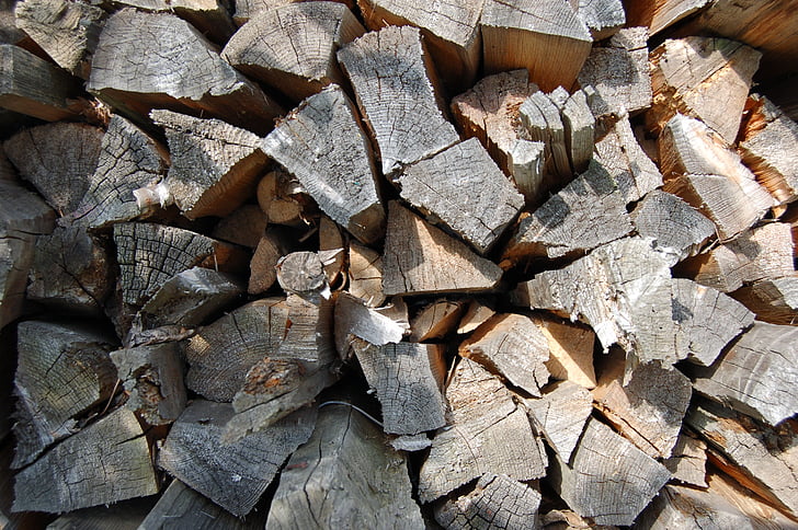firewood, pile, tree, billet, lap, deadwood, stick