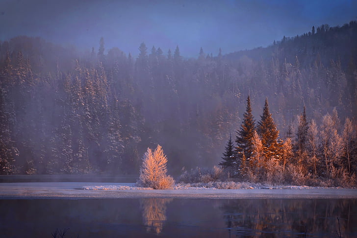 paisagem de inverno, neve, montanha, frio, reflexões, água, Lago
