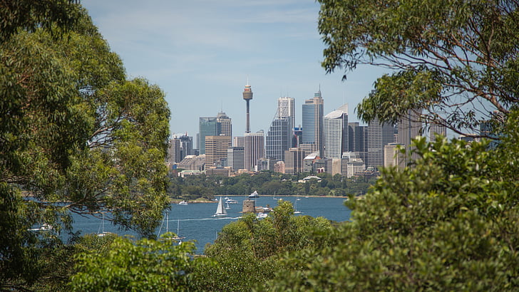 Canon, Sidnėjaus uostas, Centrepoint, jachtos, vasaros, miesto peizažas, dangoraižis