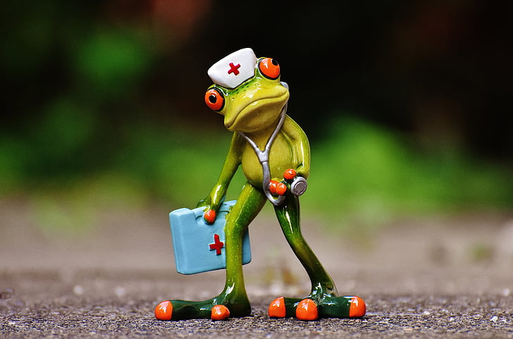 frog, figure, nurse, doctor on call, funny, decoration, cute