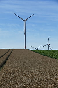 naturaleza, visión, turbinas de viento, rotores, campo, arable, cereales