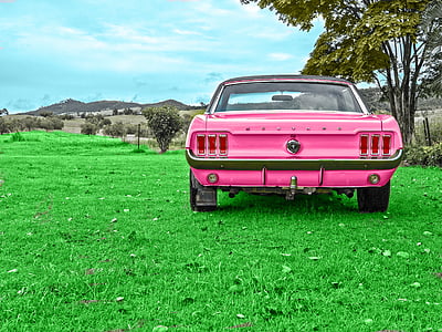 Mustang, Photoshop, tuore