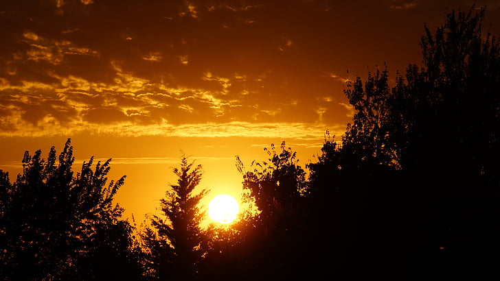 coucher de soleil, nature, Dim, Sky, arbre, silhouette