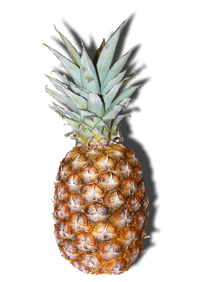 pineapple, fruits, tropical, isolated, fruit, food, freshness