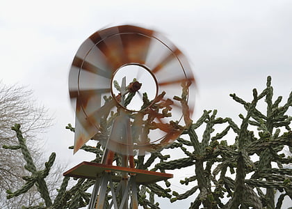 větrný mlýn, kaktus, pohyb, rotace, malebný, venkovní, staré